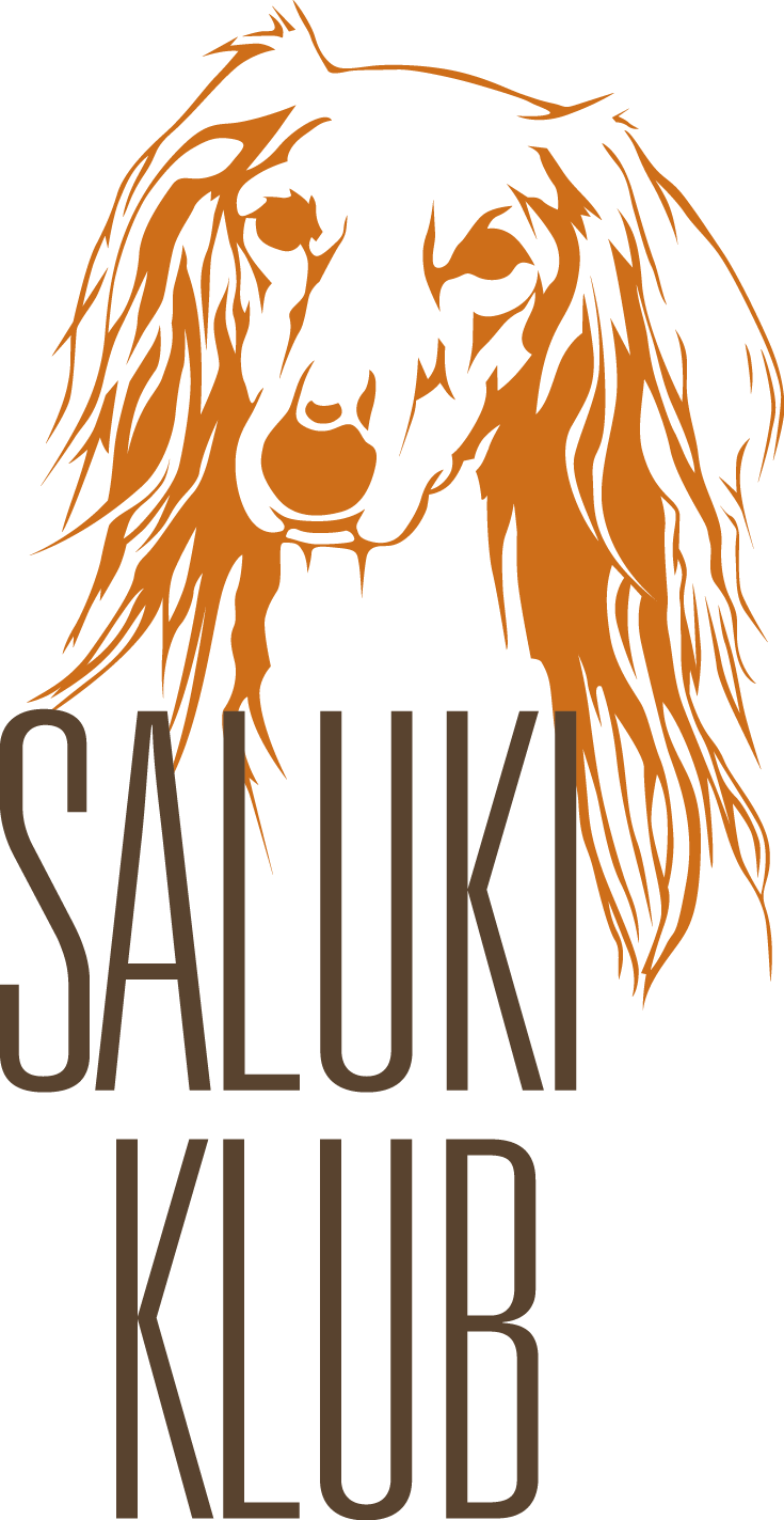 Saluki klub ČR